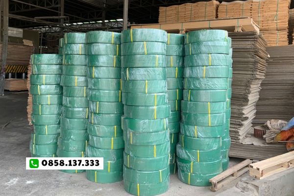 Dây đai nhựa PET chịu lực